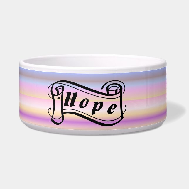 HOPE on Rainbow ボウル (正面)