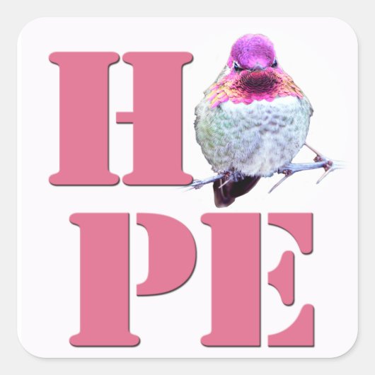 HOPE Pink Anna's Hummingbirdフォトスクエアステッカー スクエアシール (正面)