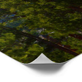 Hope/Supportポスター ポスター (角)