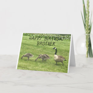 HOPE YOUR BIRTHDAY IS JUST "DUCKY" BROTHER カード