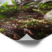 hopetoun waterfallsオーストラリアのポスターFROM 14.95 ポスター (角)