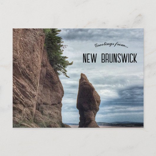 Hopewell Rocks Provincial Park New Brunswick  ポストカード (正面)