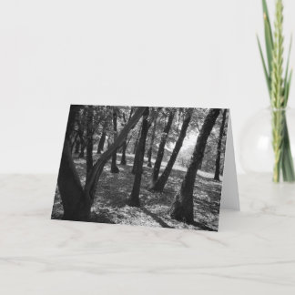 Hopland Station 1966年の果樹園 カード