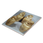 Hor irオウム、Saite (アラバスター)のカノプス壺 タイル (側面)