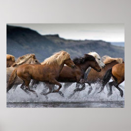 Horde chevaux, Papier poster (mat) ポスター