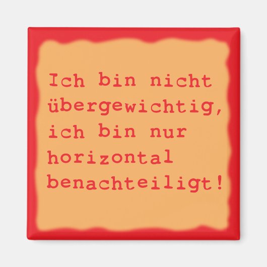 horizontal benachteiligt マグネット (正面)