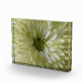 Horizontal Block Photoblock フォトブロック (右)