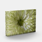 Horizontal Block Photoblock フォトブロック (左)