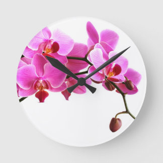 Horloge Ronde Orchidée ラウンド壁時計