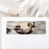 horn-1.jpg ラベル (インサイチュ)