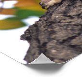 Horned Owl、素晴らしBubo virginianus、先住民 ポスター (角)