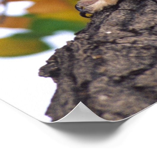 Horned Owl、素晴らしBubo virginianus、先住民 ポスター (角)