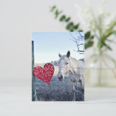 HORSEバレンタインハート シーズンポストカード (スタンド正面)
