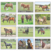 Horse （またはYOUR Photos）スタンプ シール (正面)