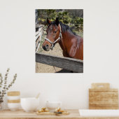 Horse ポスター (キッチン)