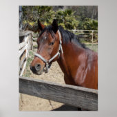 Horse ポスター (正面)