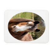 HORSE マグネット (横)