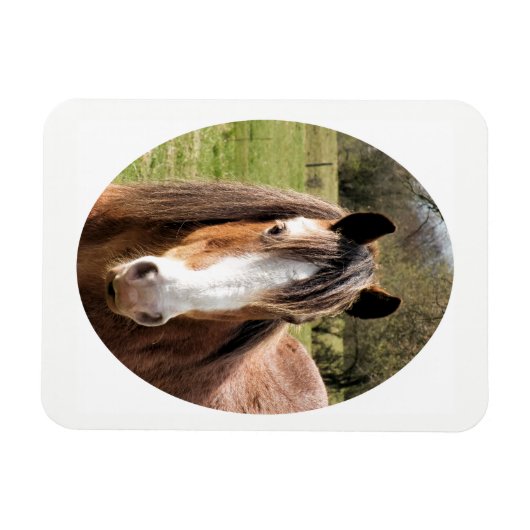 HORSE マグネット (横)