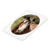 HORSE マグネット (左側)