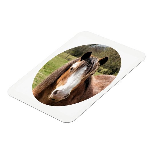 HORSE マグネット (左側)