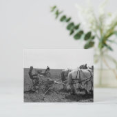 Horse-描Corne Planter、1940年 ポストカード (スタンド正面)