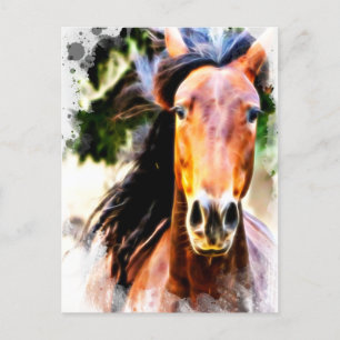 *~* Horse 芸術的 AR22ウマ科ののアートプリント ポストカード