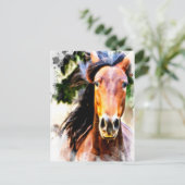 *~* Horse 芸術的 AR22ウマ科ののアートプリント ポストカード (スタンド正面)