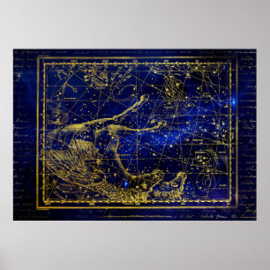 horse and dolphin constellation poster ポスター