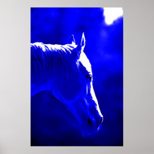 Horse At Night - Horse In Moonlightプリント ポスター