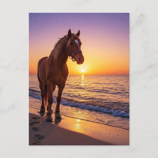 Horse at Sunset on the Beach Coastal Postcard シーズンポストカード (正面)