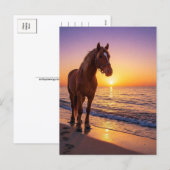 Horse at Sunset on the Beach Coastal Postcard シーズンポストカード (正面/裏面)