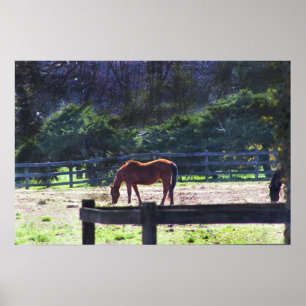 Horse at the Farmポスター ポスター