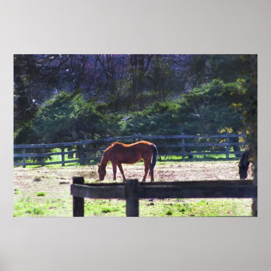 Horse at the Farmポスター ポスター (正面)