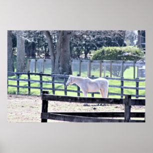 Horse at the Farm Poster ポスター