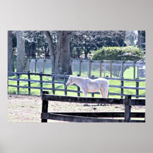 Horse at the Farm Poster ポスター (正面)