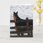 Horse at the Fence カード (黄色い花)