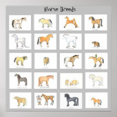 Horse Breeds Cartoon Poster ポスター (正面)