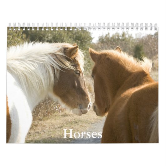 Horse Calendar カレンダー (カバー)