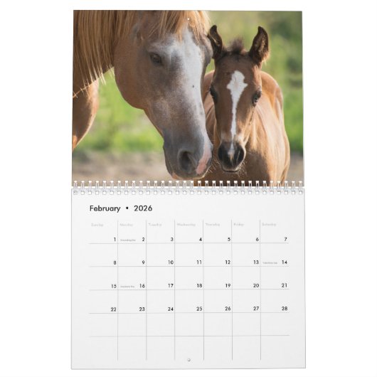 Horse Calendar 2023カスタム写真の追加 カレンダー (2月 2026)