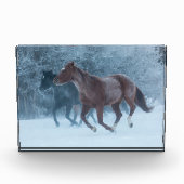 Horse Drive フォトブロック (正面)