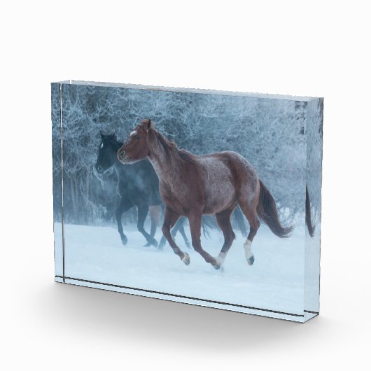 Horse Drive フォトブロック (右)