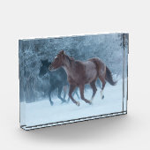 Horse Drive フォトブロック (左)