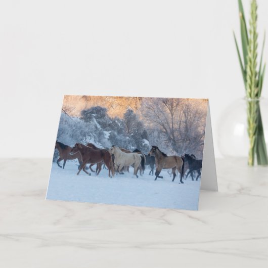 Horse Drive in Winter on Hideout Ranch カード (正面)
