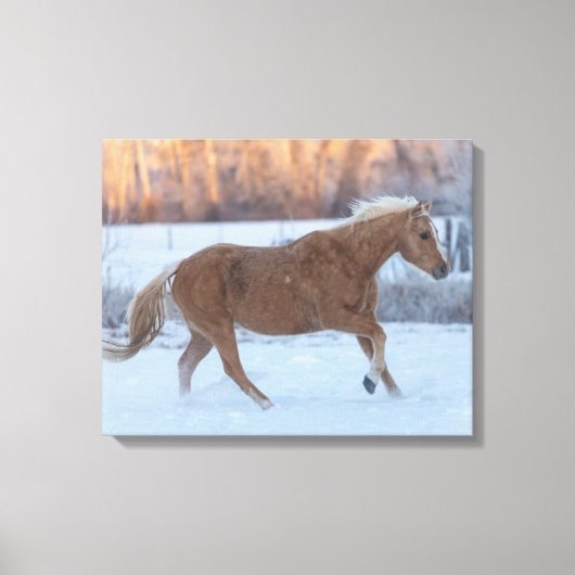 Horse Drive in Winter on Hideout Ranch キャンバスプリント (正面)
