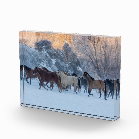 Horse Drive in Winter on Hideout Ranch フォトブロック (右)