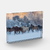 Horse Drive in Winter on Hideout Ranch フォトブロック (左)