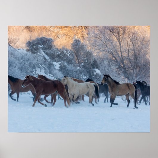 Horse Drive in Winter on Hideout Ranch ポスター (正面)