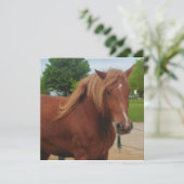 Horse Flat Card Cute Country Western Equine Note (スタンド正面)