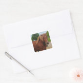 Horse Flat Card Cute Country Western Equine Note スクエアシール (封筒)