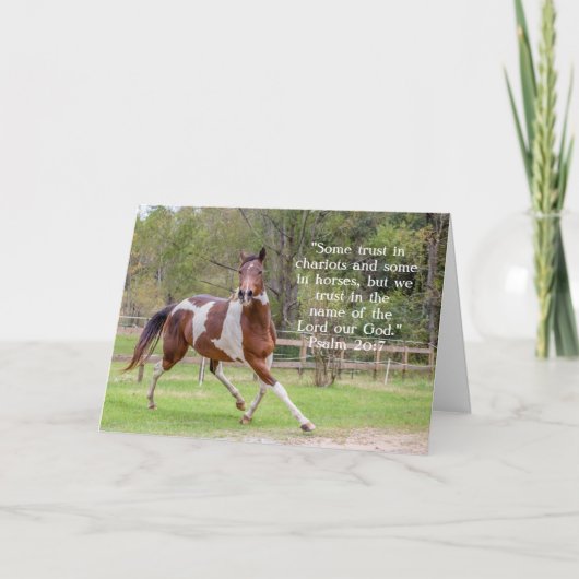 Horse in Field Greeting Card カード (正面)